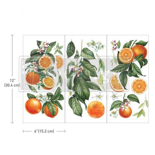 SMALL TRANSFERS – CITRUS SLICE – 3 SHEETS, 6″X12″