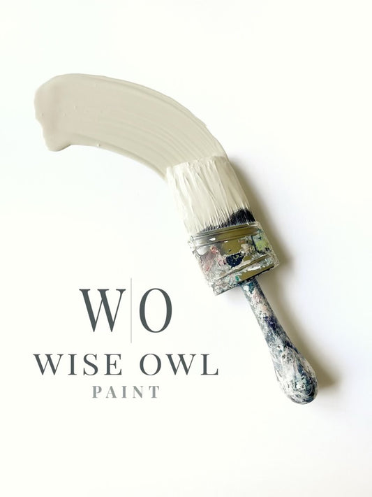 *NEW* Wise Owl One Hour Enamel -Natural Light