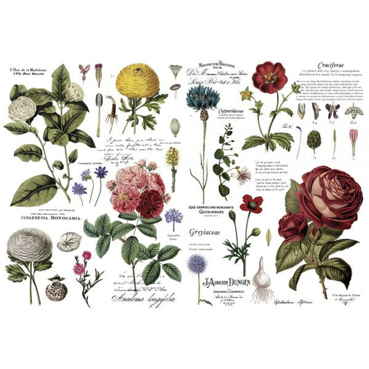 REDESIGN DECOR TRANSFERS® – VINTAGE BOTANICAL – TOTAL SHEET SIZE 48″X35″, CUT INTO 6 SHEETS